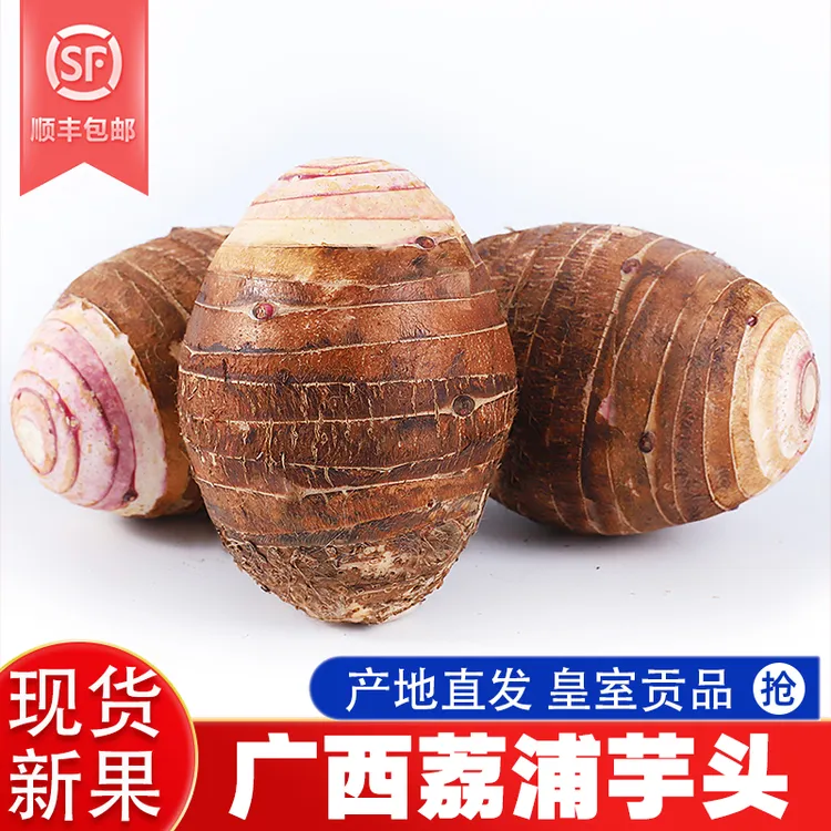 【广西荔浦大芋头 新果 顺丰快递】粉糯香当季现挖毛大芋头正宗新鲜