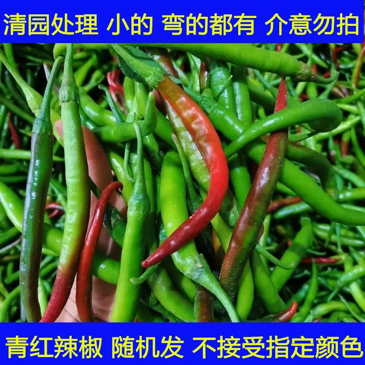 农家土二荆条青红辣椒中辣超香新鲜线椒混合发货5斤