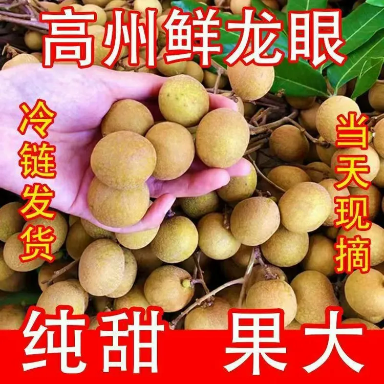 广东高州石硖龙眼现摘现发清甜多汁肉厚饱满当季水果
