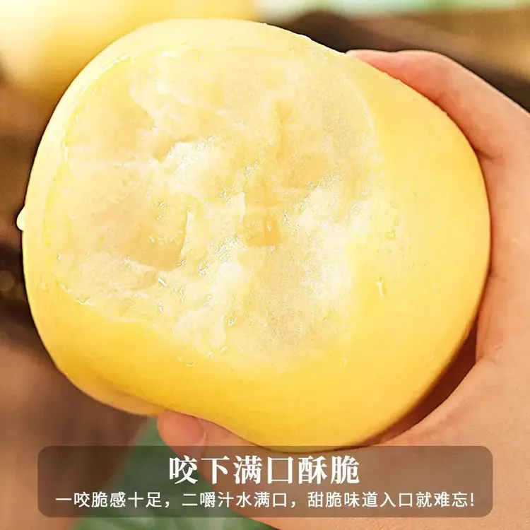 【产地直发】正宗黄金奶油富士苹果脆甜汁水多果园直发商品图