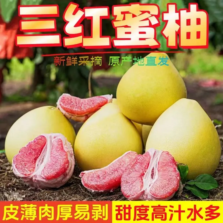 正宗红心蜜柚3/5/9斤当季新鲜柚子水果皮薄肉厚香甜多汁