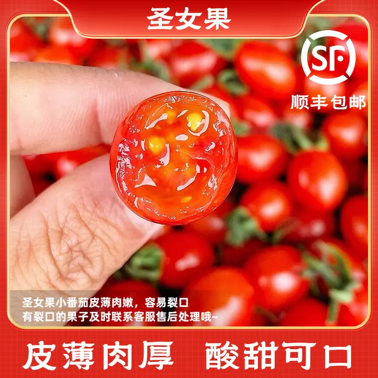 【坏果包赔】陕西圣女果西红柿新鲜水果当季正宗孕妇番茄现摘顺丰发