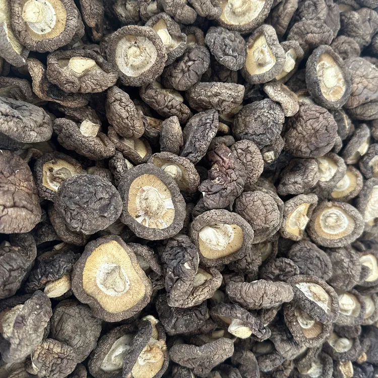 东北农家新香菇干无根肉厚干净品质好包邮