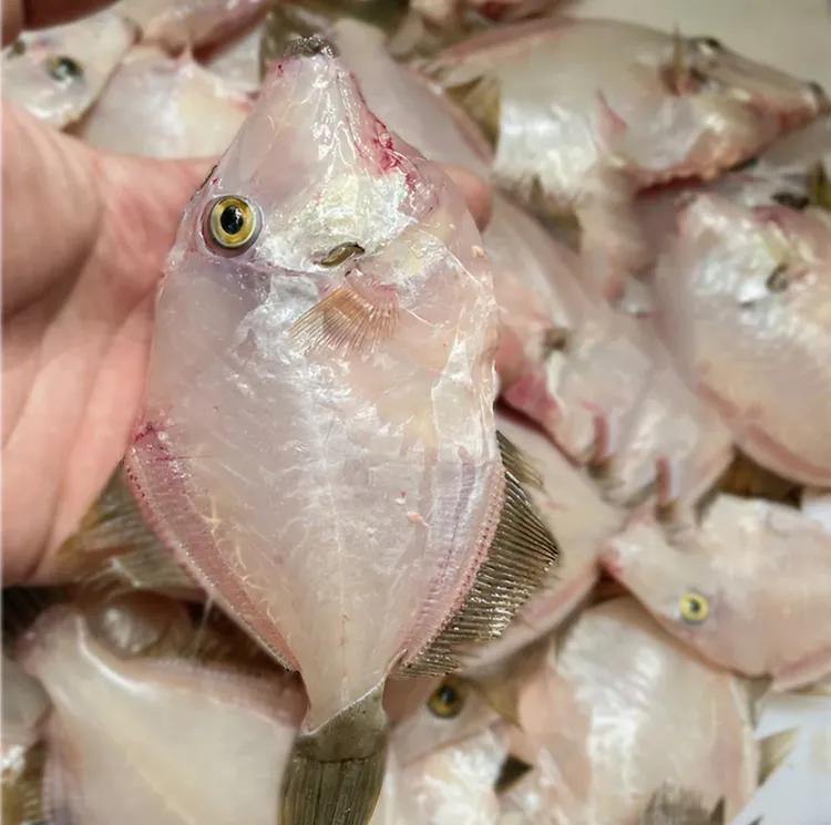 【大圆特】惠来神泉本港大圆特 扒皮鱼去皮去肚1包400克 顺丰包邮