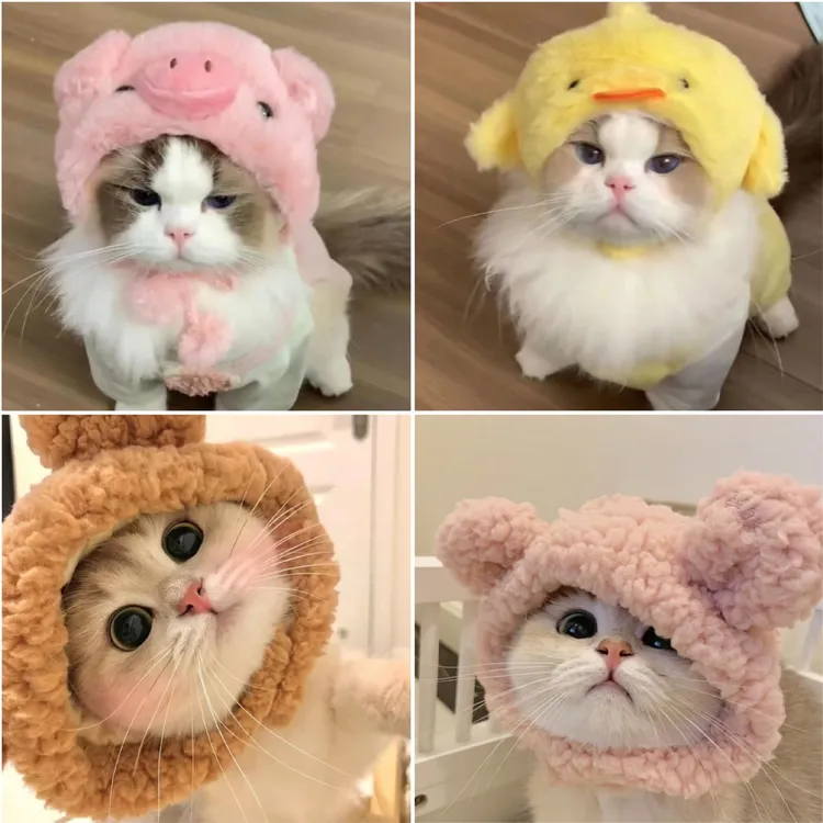 小猪咪猫咪帽子宠物头套小猫毛绒帽子可爱装饰狗狗搞怪拍照头饰