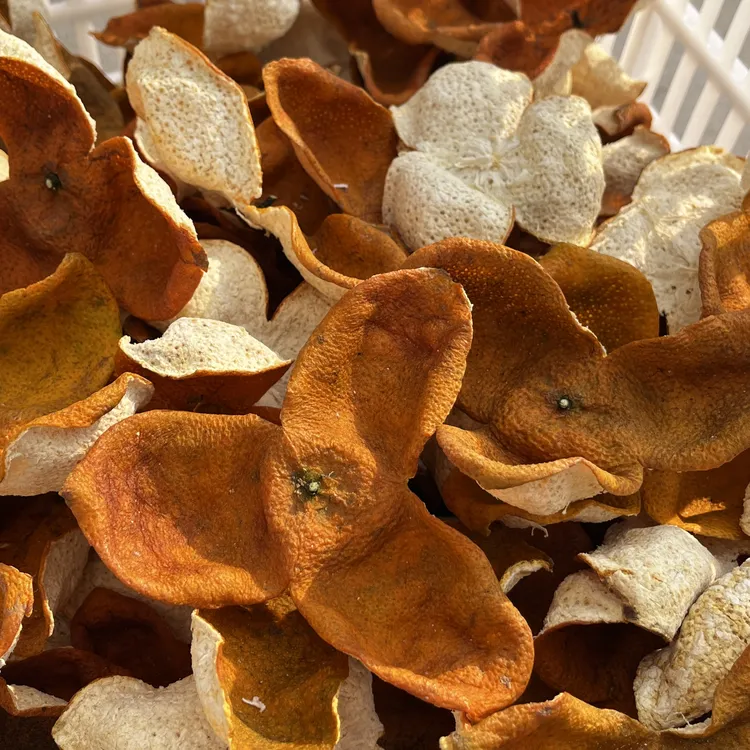 【冬后皮上新】正宗新会陈皮 2025年冬后大红皮 9年树龄圈枝柑 精挑