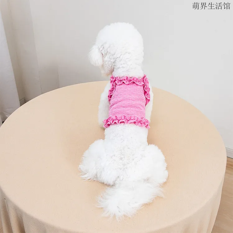 爱心宠物狗狗春秋季轻薄恤式衣服猫猫咪博美比熊小型幼犬泰迪春