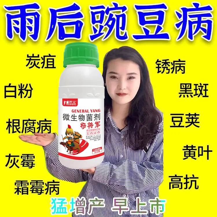 豌豆专用菌剂豌豆不生病严重豌豆病豌豆病全治白粉菌核软腐霜霉