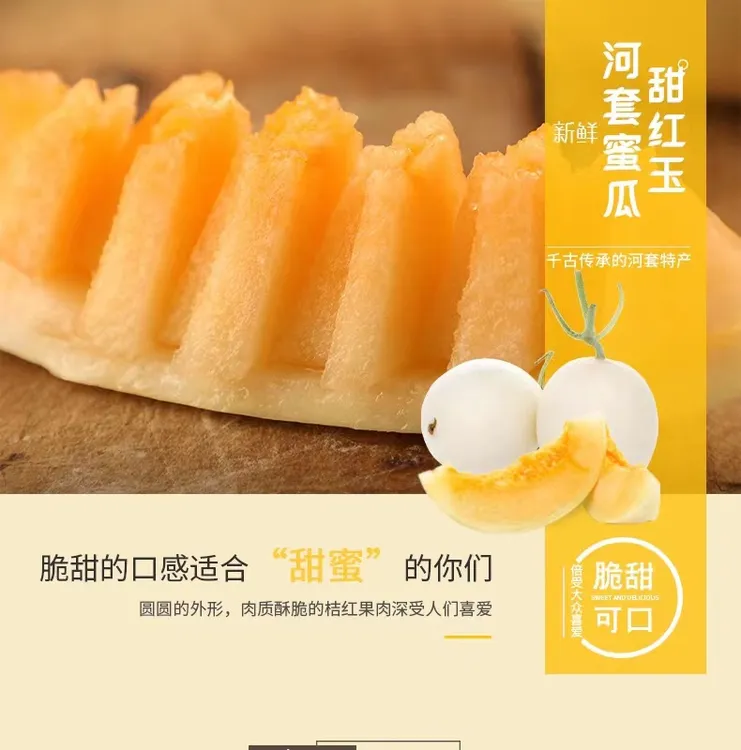 内蒙古巴盟甜瓜早黄蜜  甜红玉现摘应季密瓜 包邮