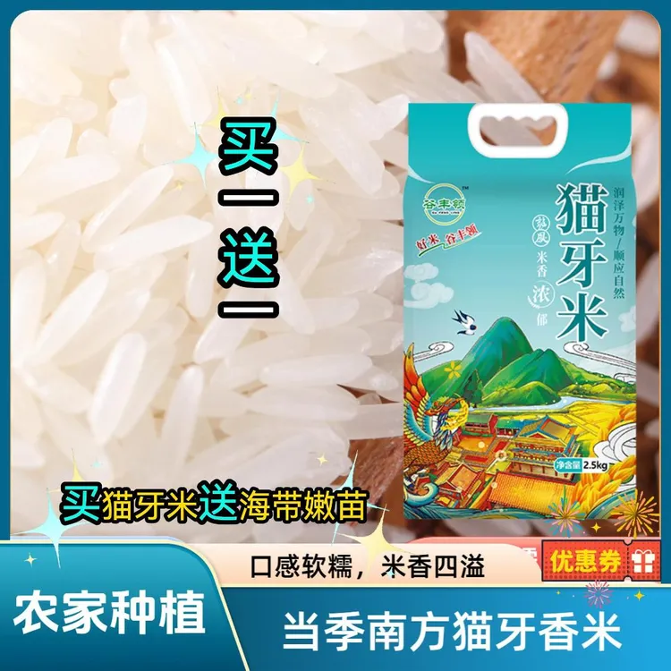 （买一送一）买猫牙米送海带嫩苗