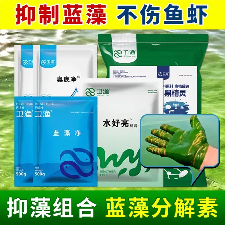 【蓝藻净套装】蓝藻精灵分解素蓝藻、颤藻、裸甲藻铁锈水化水泼洒即可