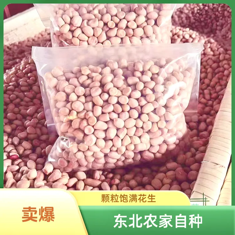 精选新鲜大白沙花生米生花生米精品可生食用生花生新货新鲜花生米