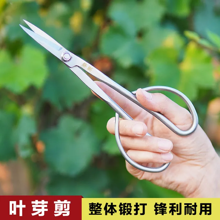 辛禾不锈钢叶芽剪嫩叶剪小叶剪盆景修剪工具园艺剪刀盆栽修枝剪商品图