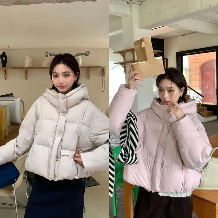 女短款秋冬保暖常规款90白鸭绒时尚女士百搭简约女款羽绒服8628