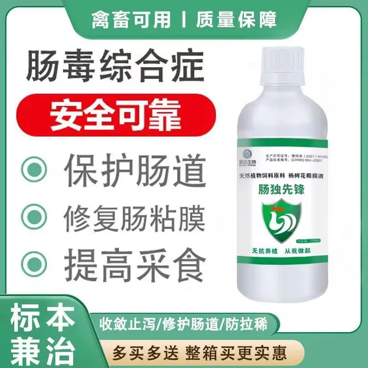 鸡肠炎肠独拉稀腹泻猪用肠道禽用肠毒综合症兽用黄白痢防腹泻