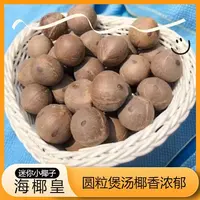 【玉姐精选】海椰皇非洲小椰子皇粒香味浓郁 煲汤 250g/500g