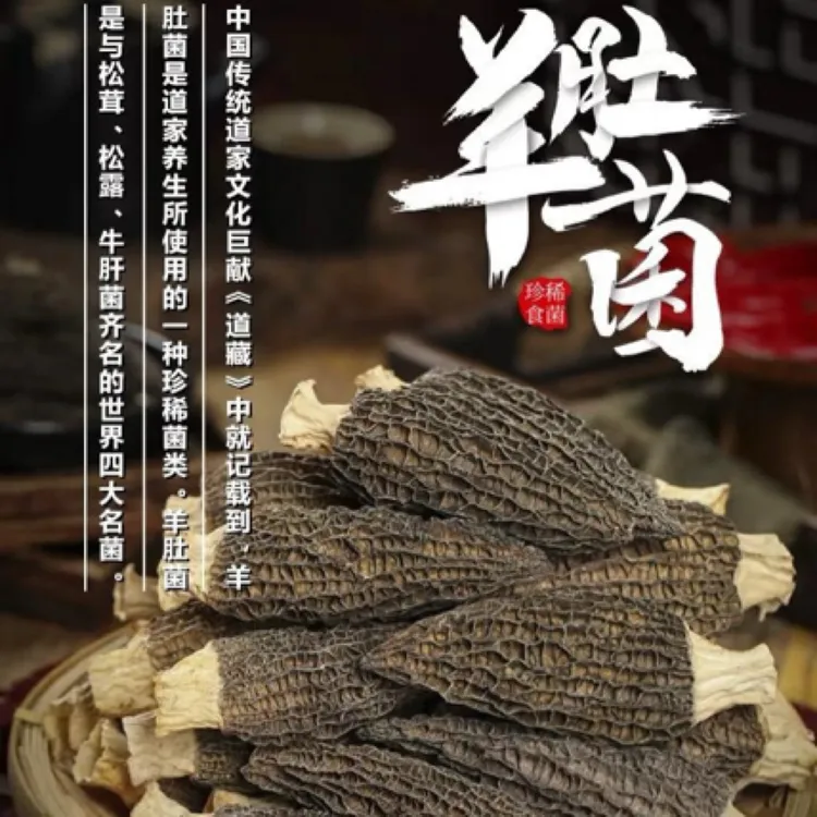 云南头茬羊肚菌干货干度足日晒煲汤鲜美营养丰富