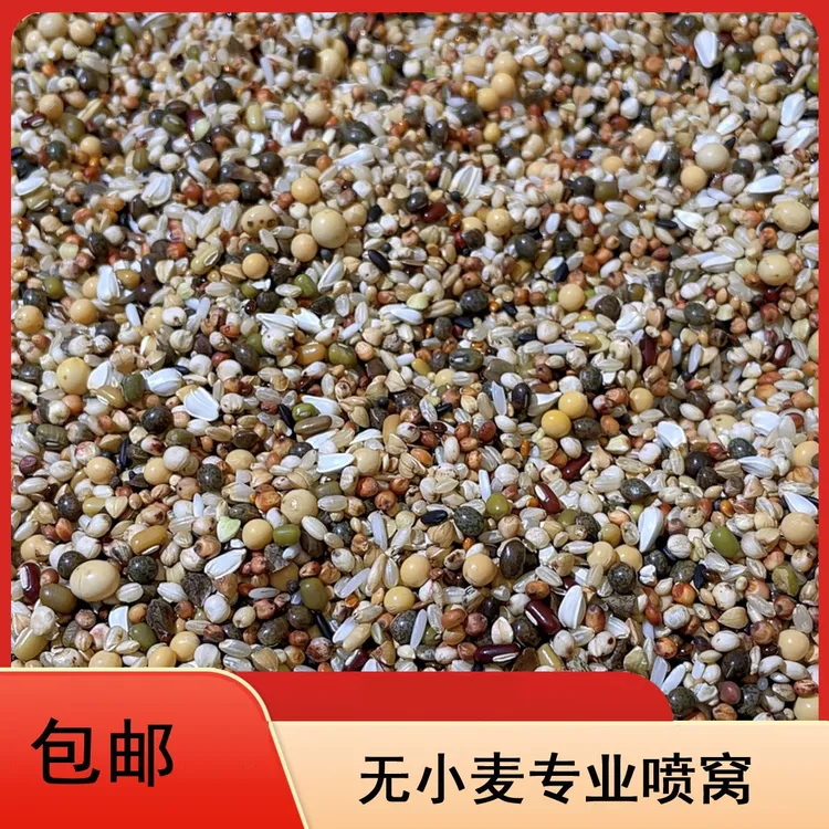 龙领鸽粮 无小麦专业喷窝粮10/50斤育雏观赏鸽小鸽子小颗粒包邮
