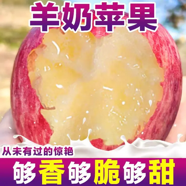 淘鲜伯淘鲜伯正宗陕西洛川红富士苹果当季新鲜脆甜多汁冰糖心