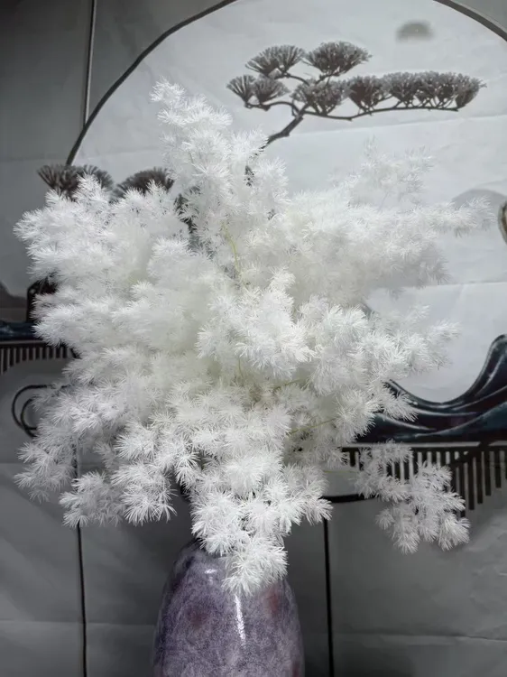《花园时光》蓬莱松永生花干花100~120克云南工厂白日焰火材料包商品图