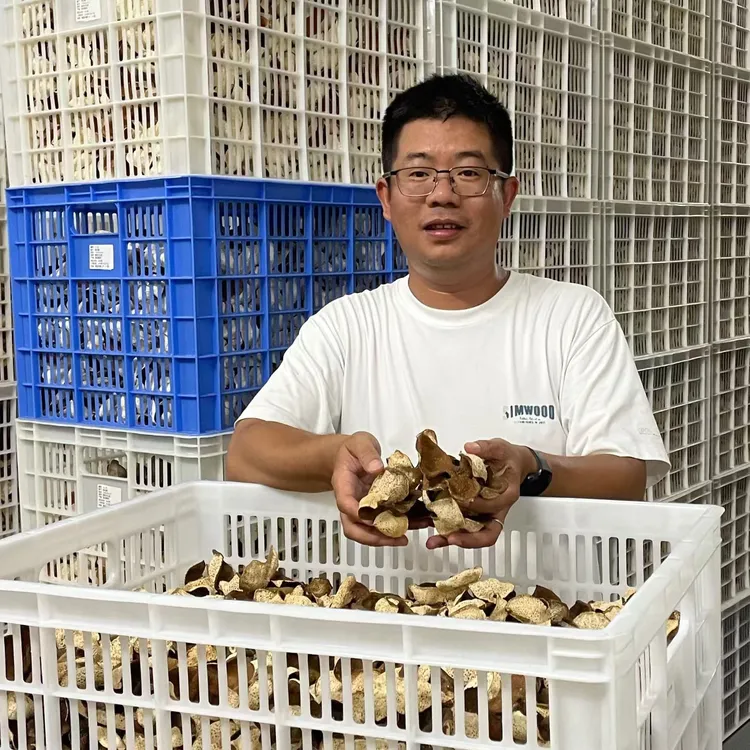 粤柑坊2023年梅江圈枝原枝大红皮新会陈皮