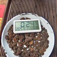 【1334号】2019年 小户赛熟茶老茶头 春 普洱茶熟茶 100克 10月30