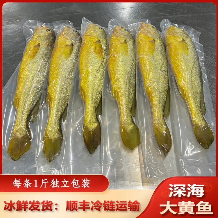 【直播推荐】每条1斤规格 宁德深海大黄鱼 冰鲜发货顺丰冷链包邮