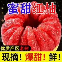  助农直播柚子老树头茬红心蜜柚当季新鲜水果皮薄鲜嫩多汁y