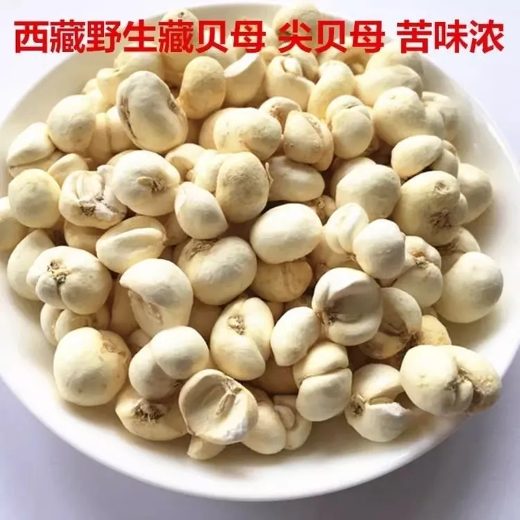 野生藏贝母西藏藏贝母藏尖贝味苦正宗贝母50g-500g包邮煲汤非川贝
