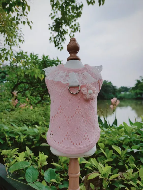 蕾丝宠物背心猫猫衣服狗狗衣服透气弹力吊带夏季打底衫泰迪比熊
