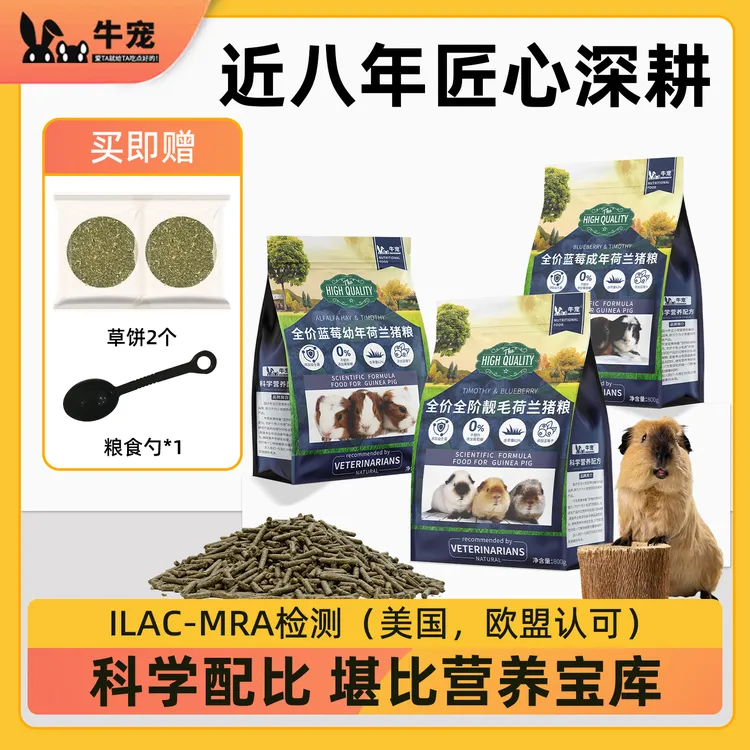 牛宠蓝莓荷兰猪专用粮食提摩西草干草高纤维苜蓿草荷兰猪饲料