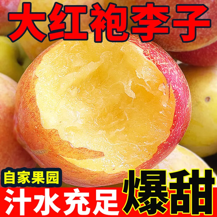 【京东快递】东北正宗周家大红袍脱骨李子当季新鲜水果甜酸口感