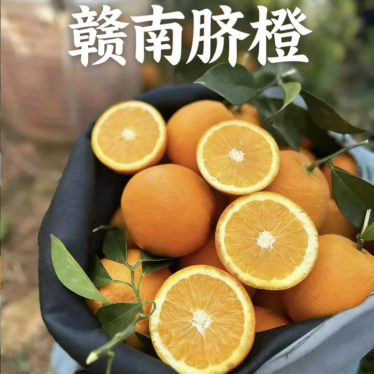 正宗江西赣南脐橙当季新鲜水果鲜嫩多汁产地直发