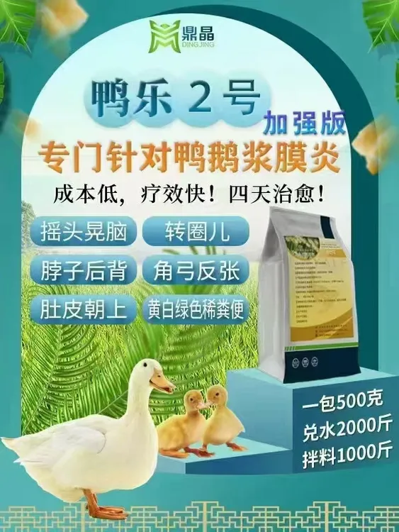 亿消+鸭乐组合防治浆膜炎大肠杆菌病毒混感鸭鹅浆膜炎喜卧腿瘸