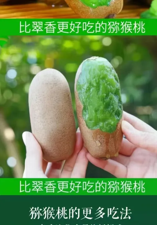周至金福猕猴桃5斤/10斤