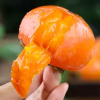 【自然搭档】火晶柿子12个/24个玲珑吊柿新鲜水果单果70g+多仓发货