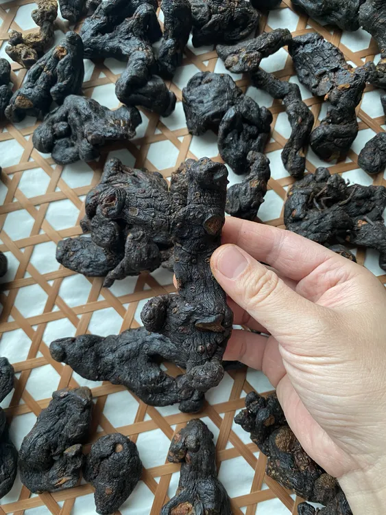 【九蒸九晒 仙人余粮】传统九制黄 无添加 