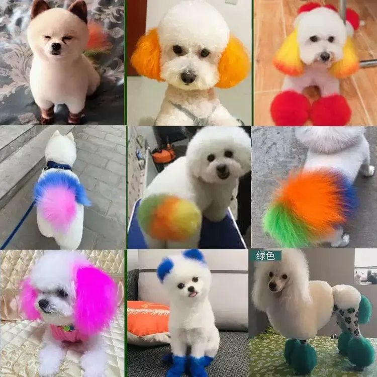 狗狗染发剂猫咪染色剂宠物染毛膏染毛剂持久宠物专用泰迪比熊博美