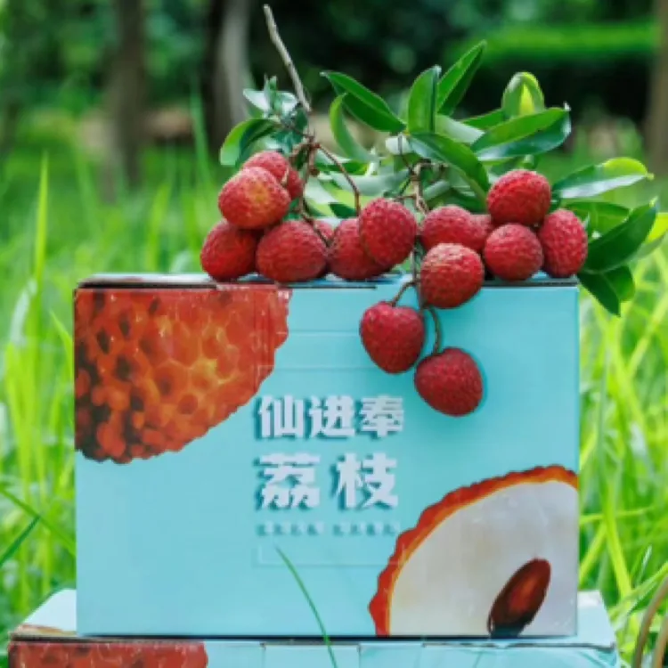 现摘现发广东增城仙进奉荔枝果肉细嫩多汁当季新鲜水果顺丰包邮