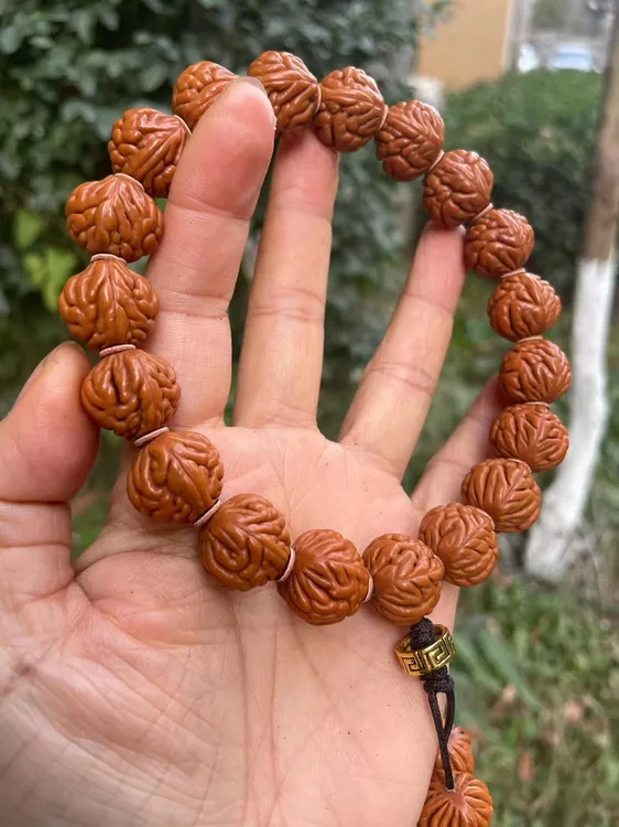 秦岭龙纹野生大肚饱满爆肉沉水高油高密头手持