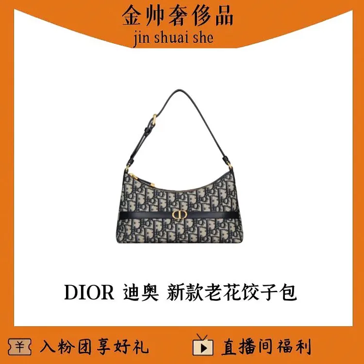 99新 DIOR/迪奥 新款/老花/饺子包/单肩包/B5042