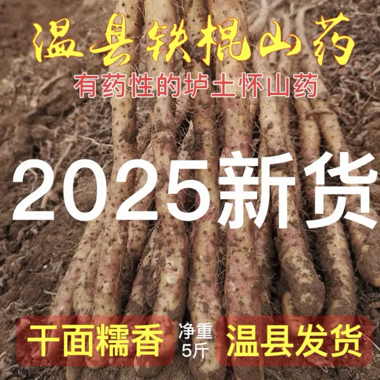 河南焦作温县垆土铁棍山药新鲜现挖怀山药软糯面香营养健康蔬菜