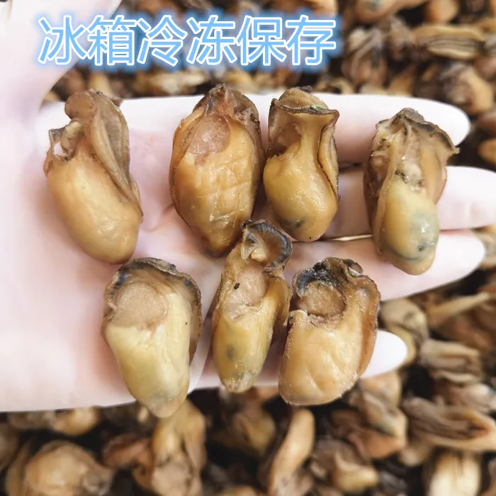 台山金蚝无抽油 （半干） 香煎闷煮 250克/500克