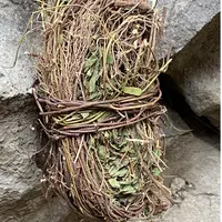 (升妈生日专属)广西深山鸡骨草带叶煮水煲汤