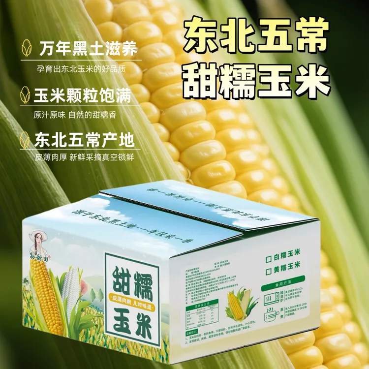 25年头茬糯玉米 260g*8根 新鲜采摘 鲜食甜嫩玉米 甜糯玉米