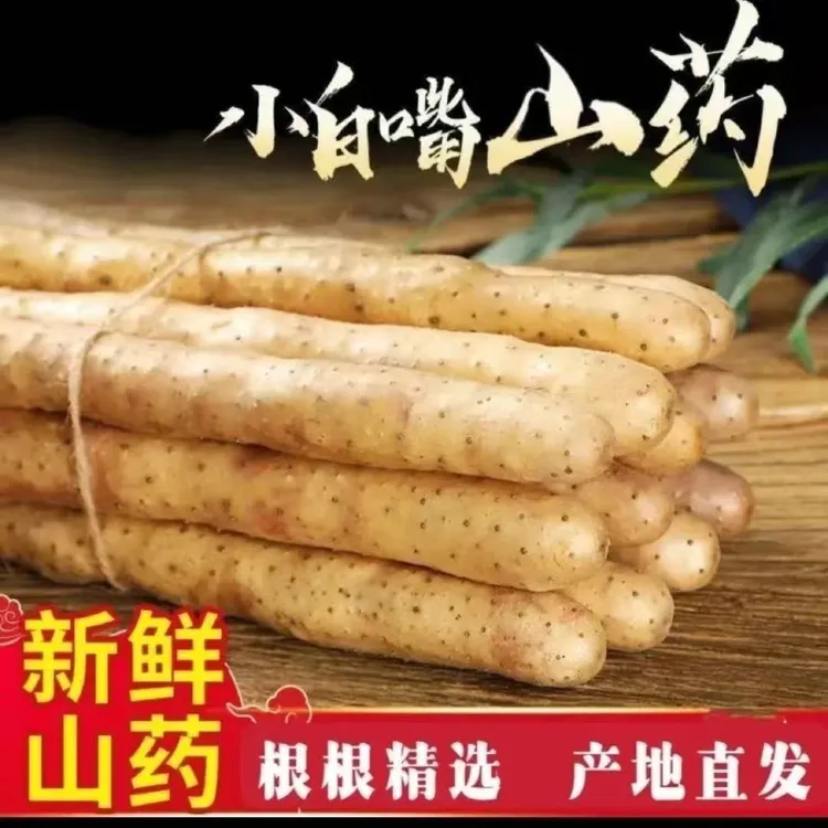 新鲜小白嘴山药产地直发软糯香甜营养高