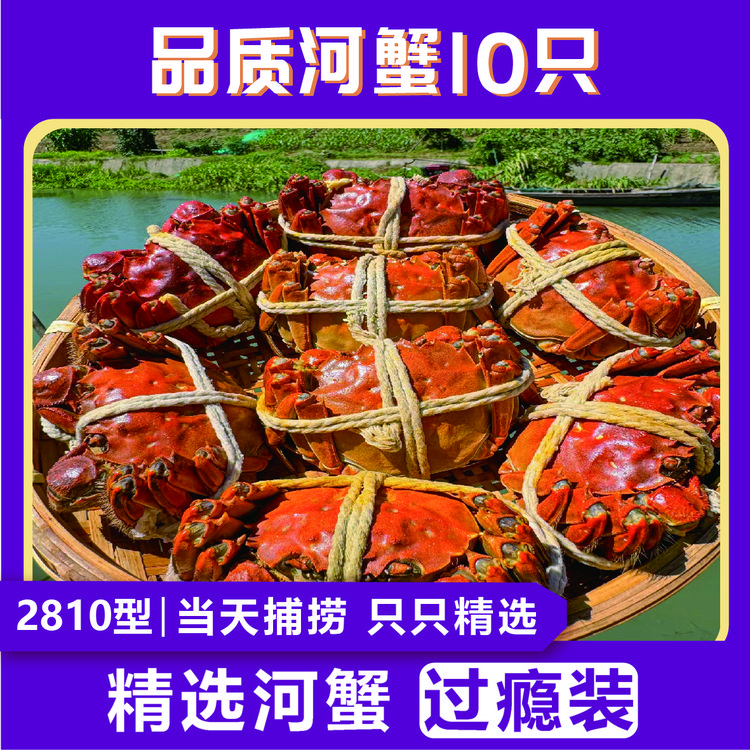【活蟹】江苏河蟹公蟹2.6-3.0两/10只装来自洪泽湖清水蟹顺丰次日达