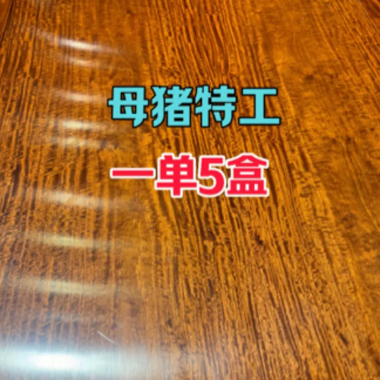 衬衫（母猪特攻）猪用一单5盒