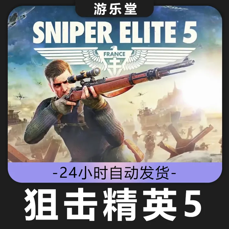 狙击精英5 steam 全球区 CDKey激活入库 