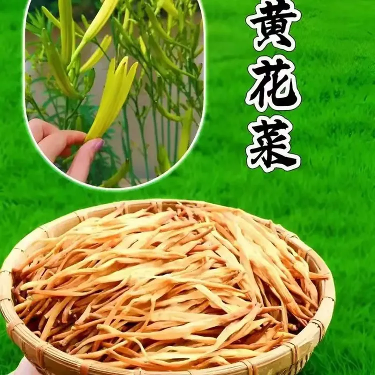 野生黄花菜(一斤)包邮